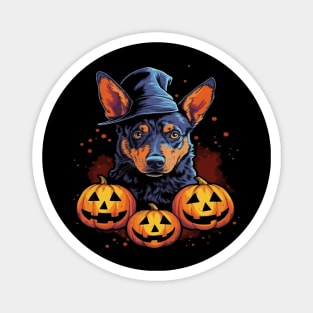 Australian Cattle Dog Halloween Magnet